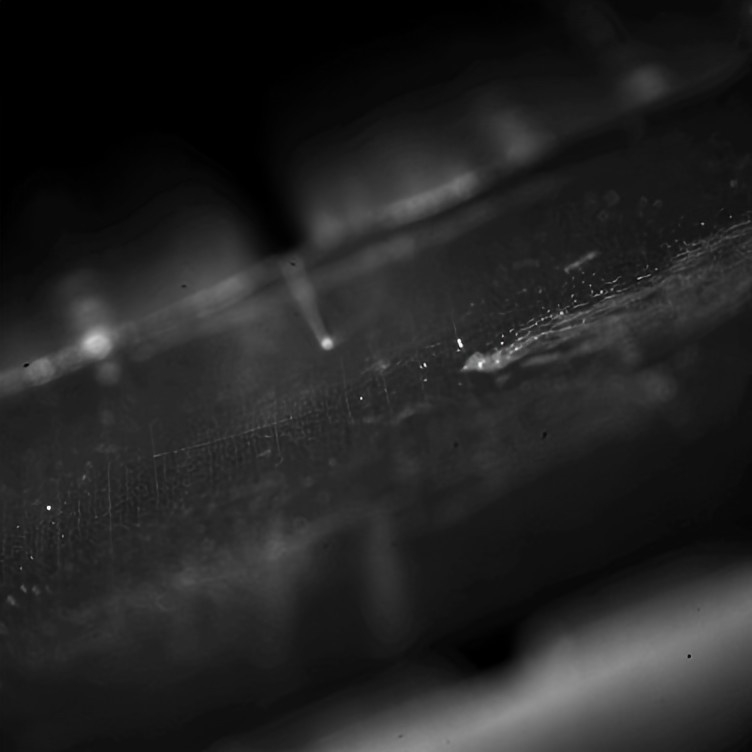 锂电极片切割进入绿光时代:技术进展与产业趋势分析 锂电极片切割进入绿光时代:技术进展与产业趋势分析